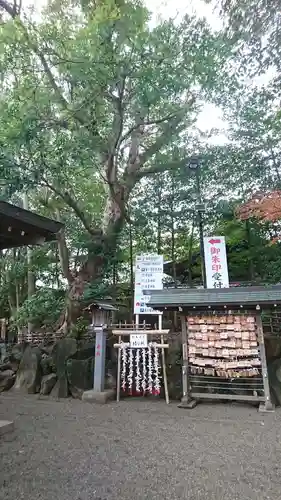 検見川神社の自然