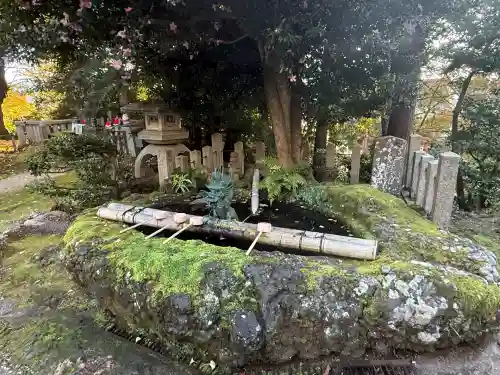 松尾寺(京都府)