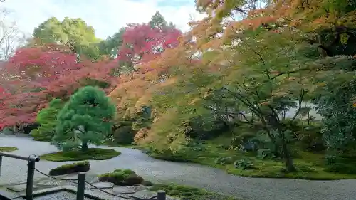 南禅寺の{uncategorized: "未分類", other: "その他", undefined: "問題あり", building: "その他建物", grave: "お墓", sacred_gate: "鳥居", guardian: "狛犬", statue: "像", buddha: "仏像", history: "歴史", nature: "自然", garden: "庭園", animal: "動物", pagoda: "塔", temizu: "手水舎", mountain_gate: "山門・神門", sanctuary: "本殿・本堂", subordinate: "末社・摂社", art: "芸術", scenery: "景色", jizo: "地蔵", ema: "絵馬", goshuin: "御朱印", omikuji: "おみくじ", items: "授与品その他", amulet: "お守り", goshuincho: "御朱印帳", eats: "食事", festival: "お祭り", votive_dance: "神楽", shichigosan: "七五三参", wedding: "結婚式", experience: "体験その他", initially: "初詣", around: "周辺", anti_infection: "感染症対策"}