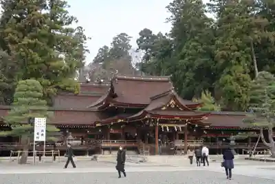 多賀大社の本殿・本堂