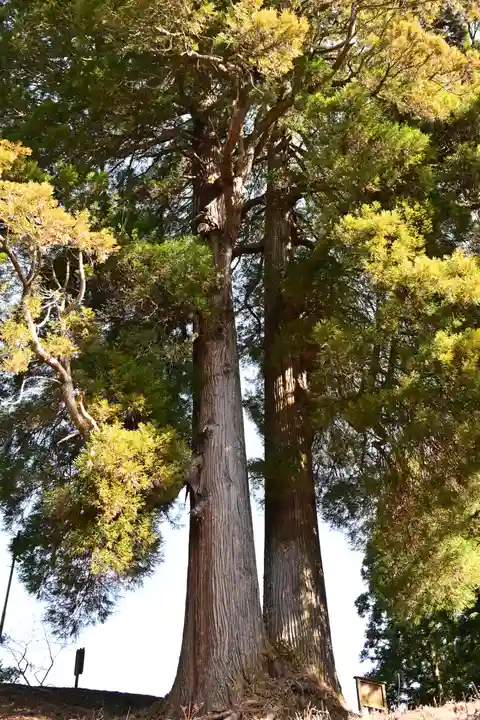 河内白王神社(高知県)