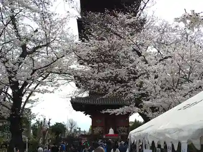 池上本門寺(東京都)