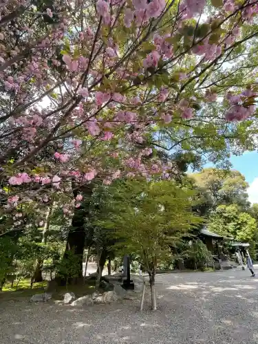 武蔵一宮氷川神社(埼玉県)