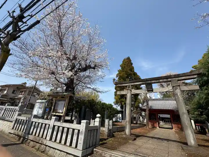 諏訪神社(東京都)