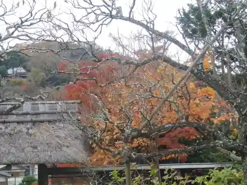 東慶寺の景色