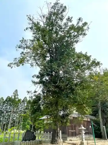 高木神社(滋賀県)