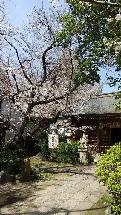 冨士浅間神社の自然