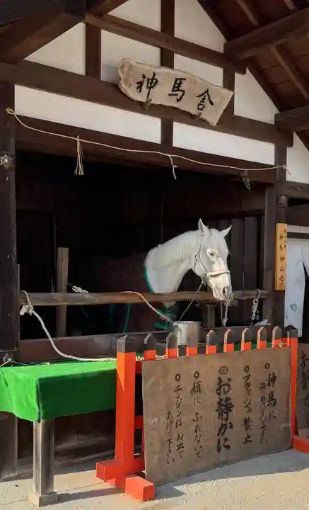賀茂別雷神社(上賀茂神社)(京都府)