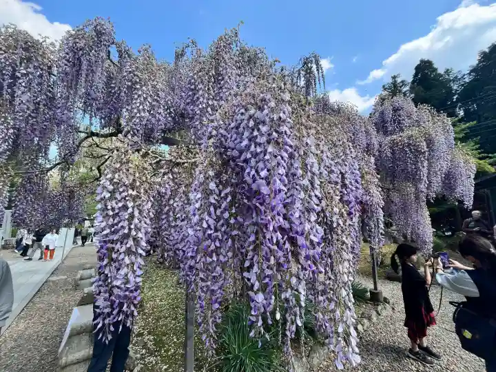 天台宗 五大山 白毫寺(兵庫県)