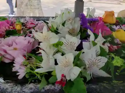 鳩森八幡神社(東京都)