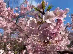 長円寺(京都府)