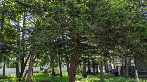 東川神社の自然