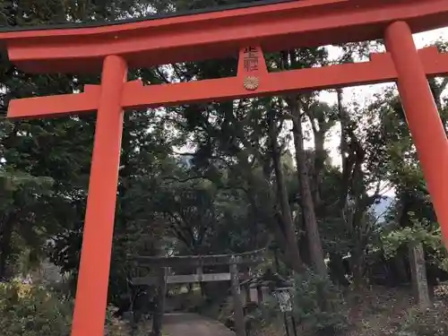 止上神社の鳥居