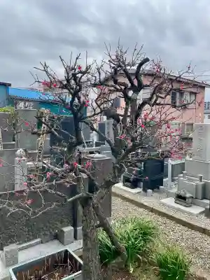玉蔵院の{uncategorized: "未分類", other: "その他", undefined: "問題あり", building: "その他建物", grave: "お墓", sacred_gate: "鳥居", guardian: "狛犬", statue: "像", buddha: "仏像", history: "歴史", nature: "自然", garden: "庭園", animal: "動物", pagoda: "塔", temizu: "手水舎", mountain_gate: "山門・神門", sanctuary: "本殿・本堂", subordinate: "末社・摂社", art: "芸術", scenery: "景色", jizo: "地蔵", ema: "絵馬", goshuin: "御朱印", omikuji: "おみくじ", items: "授与品その他", amulet: "お守り", goshuincho: "御朱印帳", eats: "食事", festival: "お祭り", votive_dance: "神楽", shichigosan: "七五三参", wedding: "結婚式", experience: "体験その他", initially: "初詣", around: "周辺", anti_infection: "感染症対策"}