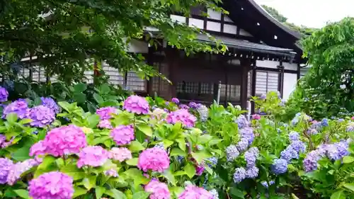 本土寺の本殿