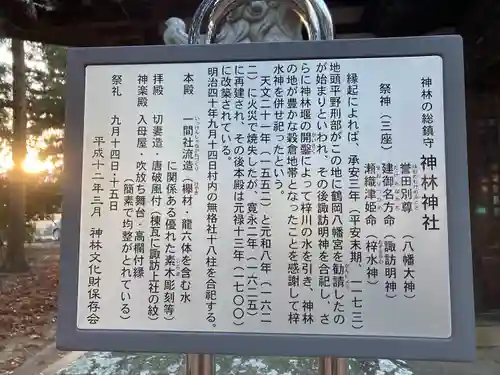 神林神社(長野県)