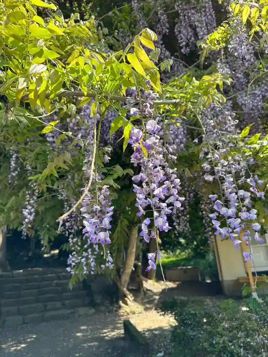 礒部神社(富山県)