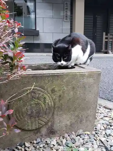 白金氷川神社(東京都)