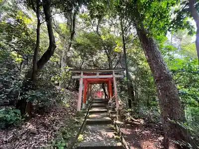 美具久留御魂神社(大阪府)