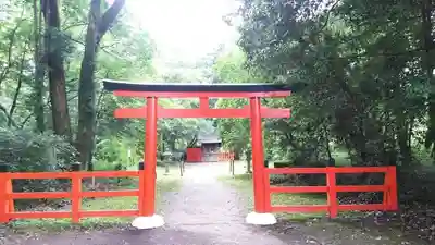 半木神社（賀茂別雷神社境外末社）の鳥居