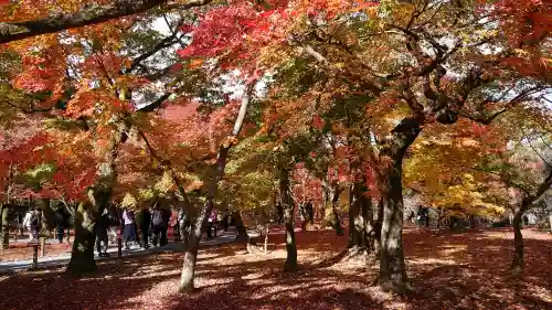 東福禅寺（東福寺）の{uncategorized: "未分類", other: "その他", undefined: "問題あり", building: "その他建物", grave: "お墓", sacred_gate: "鳥居", guardian: "狛犬", statue: "像", buddha: "仏像", history: "歴史", nature: "自然", garden: "庭園", animal: "動物", pagoda: "塔", temizu: "手水舎", mountain_gate: "山門・神門", sanctuary: "本殿・本堂", subordinate: "末社・摂社", art: "芸術", scenery: "景色", jizo: "地蔵", ema: "絵馬", goshuin: "御朱印", omikuji: "おみくじ", items: "授与品その他", amulet: "お守り", goshuincho: "御朱印帳", eats: "食事", festival: "お祭り", votive_dance: "神楽", shichigosan: "七五三参", wedding: "結婚式", experience: "体験その他", initially: "初詣", around: "周辺", anti_infection: "感染症対策"}