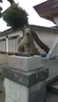 勇稲荷神社の狛犬