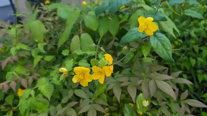 安井金比羅宮(京都府)