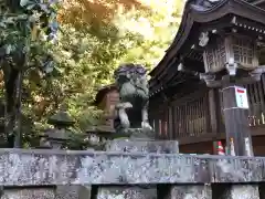 伊奈波神社(岐阜県)