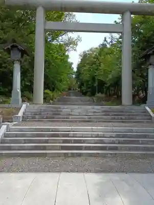 上川神社の鳥居