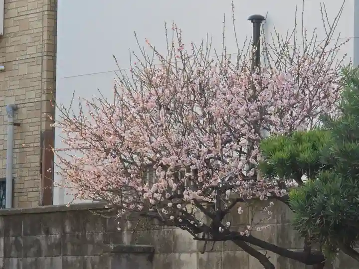 観月院真光寺(大阪府)