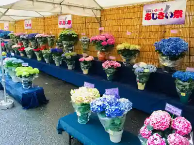長國寺のお祭り