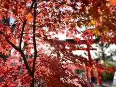 生島足島神社(長野県)