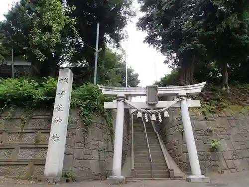 伊伎神社の鳥居