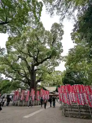 楠珺社(住吉大社末社)(大阪府)