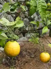 水主神社の自然