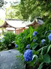 吉備津神社の本殿