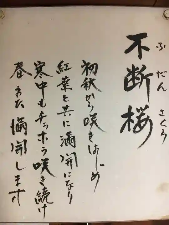 実光院(京都府)