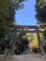 土田白鬚神社の鳥居