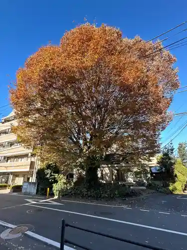 小野神社(東京都)