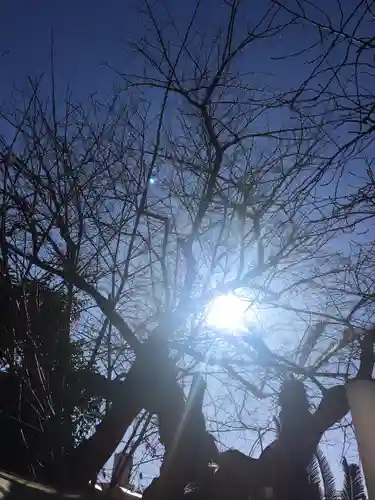 麻布氷川神社の自然