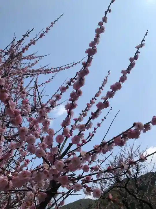 菅原神社(鹿児島県)