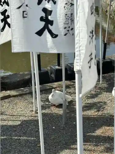 旗上弁財天社の{uncategorized: "未分類", other: "その他", undefined: "問題あり", building: "その他建物", grave: "お墓", sacred_gate: "鳥居", guardian: "狛犬", statue: "像", buddha: "仏像", history: "歴史", nature: "自然", garden: "庭園", animal: "動物", pagoda: "塔", temizu: "手水舎", mountain_gate: "山門・神門", sanctuary: "本殿・本堂", subordinate: "末社・摂社", art: "芸術", scenery: "景色", jizo: "地蔵", ema: "絵馬", goshuin: "御朱印", omikuji: "おみくじ", items: "授与品その他", amulet: "お守り", goshuincho: "御朱印帳", eats: "食事", festival: "お祭り", votive_dance: "神楽", shichigosan: "七五三参", wedding: "結婚式", experience: "体験その他", initially: "初詣", around: "周辺", anti_infection: "感染症対策"}