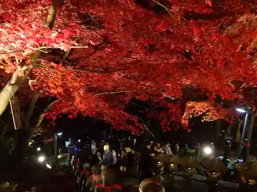 大山寺(神奈川県)