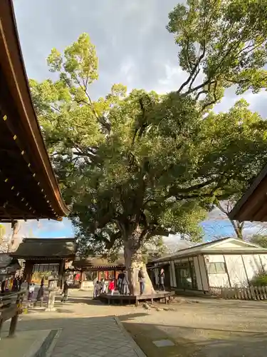 平野神社(京都府)