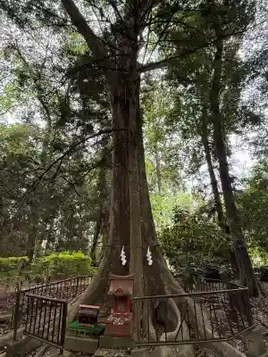 宮原八幡宮(栃木県)