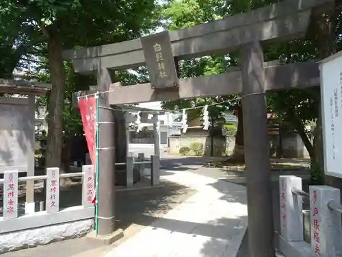 白髭神社の鳥居