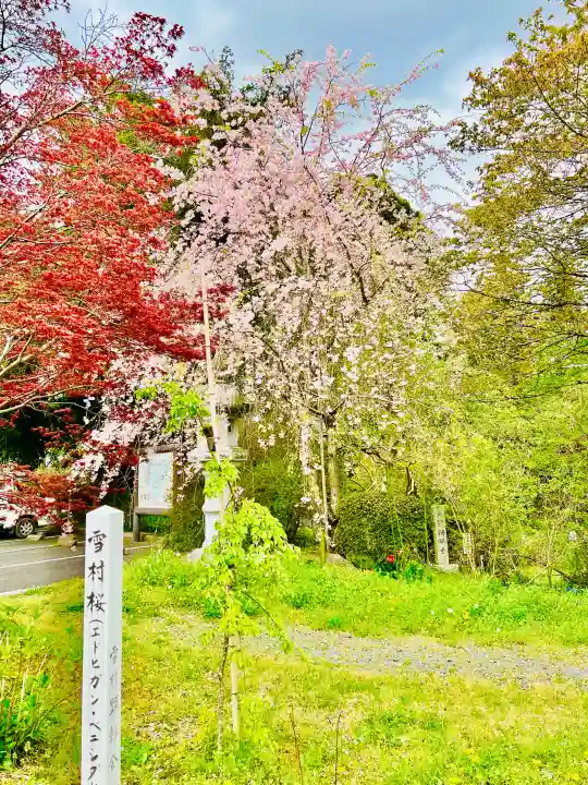 弘願寺の{uncategorized: "未分類", other: "その他", undefined: "問題あり", building: "その他建物", grave: "お墓", sacred_gate: "鳥居", guardian: "狛犬", statue: "像", buddha: "仏像", history: "歴史", nature: "自然", garden: "庭園", animal: "動物", pagoda: "塔", temizu: "手水舎", mountain_gate: "山門・神門", sanctuary: "本殿・本堂", subordinate: "末社・摂社", art: "芸術", scenery: "景色", jizo: "地蔵", ema: "絵馬", goshuin: "御朱印", omikuji: "おみくじ", items: "授与品その他", amulet: "お守り", goshuincho: "御朱印帳", eats: "食事", festival: "お祭り", votive_dance: "神楽", shichigosan: "七五三参", wedding: "結婚式", experience: "体験その他", initially: "初詣", around: "周辺", anti_infection: "感染症対策"}