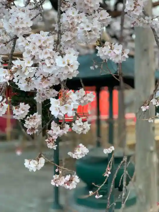西光院(浄楽寺)の自然