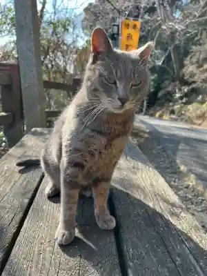 唐澤山神社の{uncategorized: "未分類", other: "その他", undefined: "問題あり", building: "その他建物", grave: "お墓", sacred_gate: "鳥居", guardian: "狛犬", statue: "像", buddha: "仏像", history: "歴史", nature: "自然", garden: "庭園", animal: "動物", pagoda: "塔", temizu: "手水舎", mountain_gate: "山門・神門", sanctuary: "本殿・本堂", subordinate: "末社・摂社", art: "芸術", scenery: "景色", jizo: "地蔵", ema: "絵馬", goshuin: "御朱印", omikuji: "おみくじ", items: "授与品その他", amulet: "お守り", goshuincho: "御朱印帳", eats: "食事", festival: "お祭り", votive_dance: "神楽", shichigosan: "七五三参", wedding: "結婚式", experience: "体験その他", initially: "初詣", around: "周辺", anti_infection: "感染症対策"}