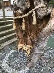 足羽神社(福井県)